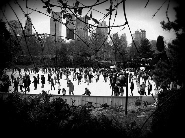 People ice skating in the park