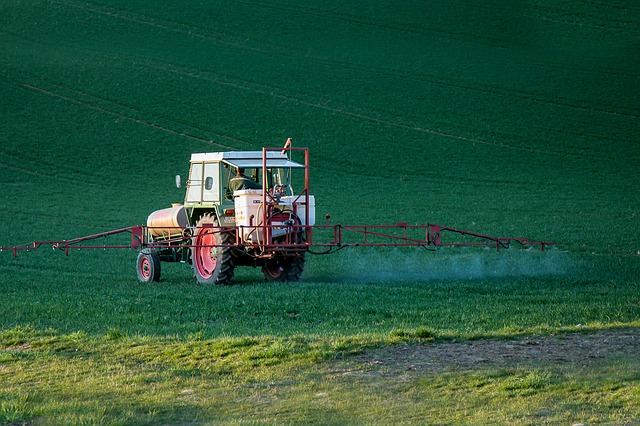 glyphosate roundup effect