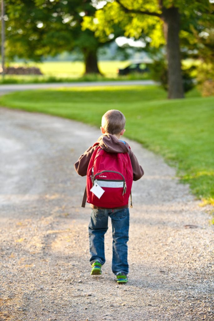 school bus stop pedestrian accident