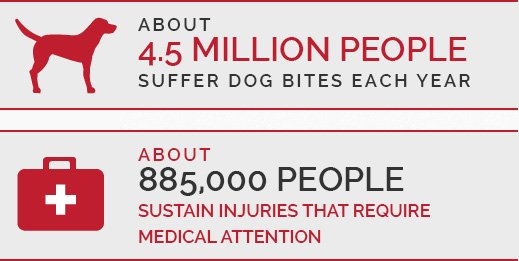dog bite statistics
