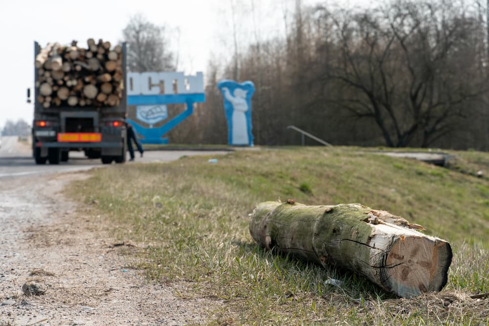 Logging accident on road