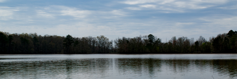 decatur
