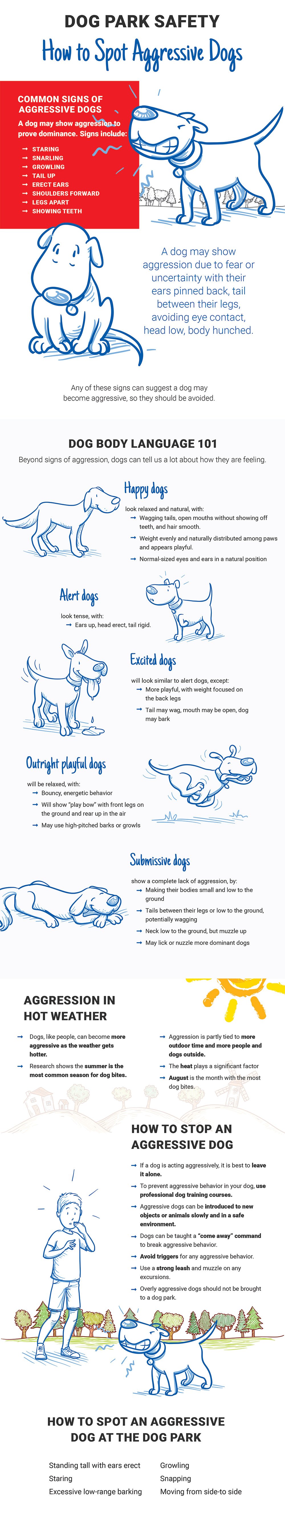 dog park safety infographic