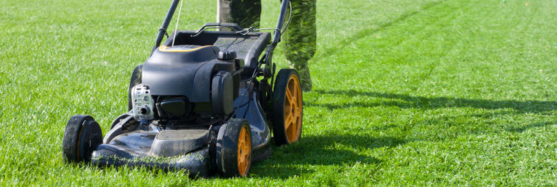 lawn mower