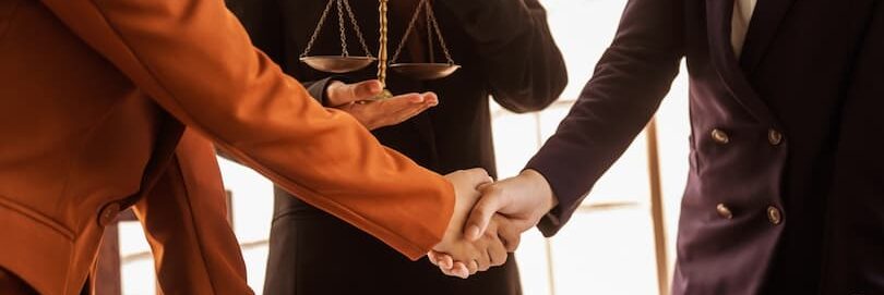 Business partners sealing a deal with a handshake.